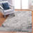 5X7 Cream/Anthracite /Traditional Non-Shedding Living Room Bedroom Dining Home Office Stylish and Stain Resistant Area Rug