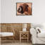 «Boxer Dog Neutral Portrait» par Thomas Fluharty-823465189-823465188