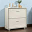 16 Pair Shoe Storage Cabinet