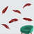 Cranberry