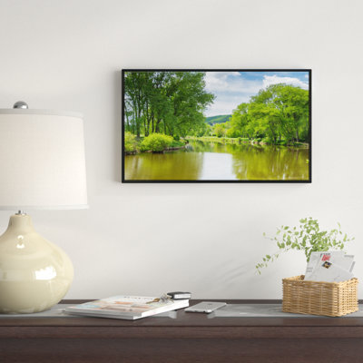 " Beautiful Summer With Green Grass "
