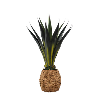 Agave de 42 po de hauteur tissé