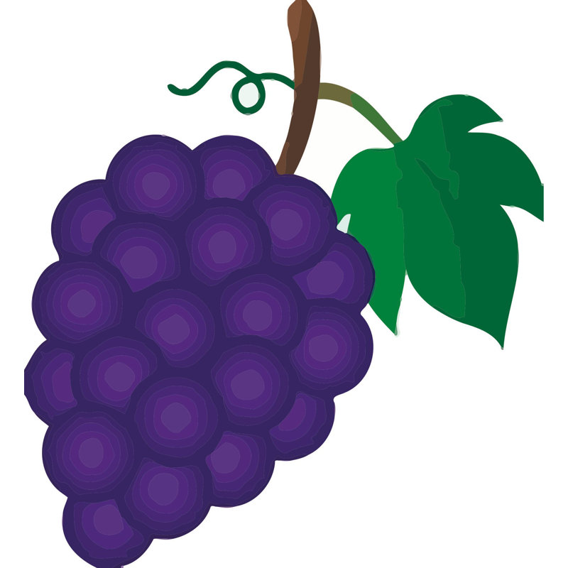 Adhésif décoratif vigne raisin, 20 po x 18 po