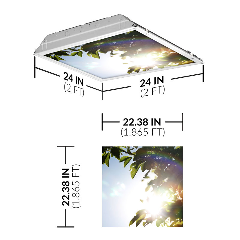 Tree Square Fixture Component Ceiling Light