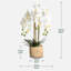Arrangement de soie orchidée en pot