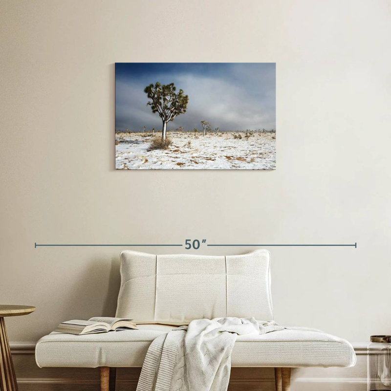 Harnek Snowy Mojave Desert, H 20 po x l 30 po