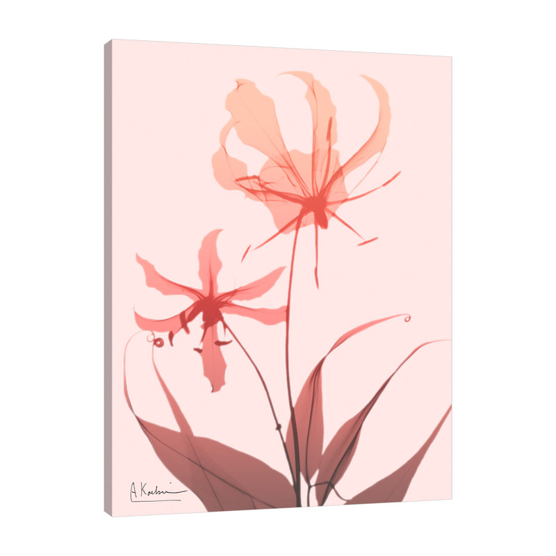 Furiosa Lily - Wrapped Canvas Print, 41 cm H x 30 cm W