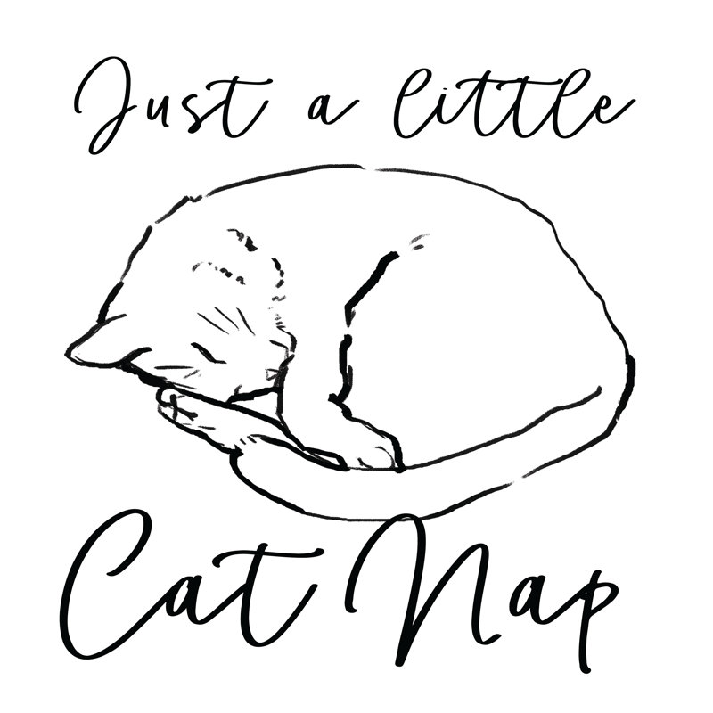 Cap Nap - Wrapped Canvas Print, 30cm H x 30cm W