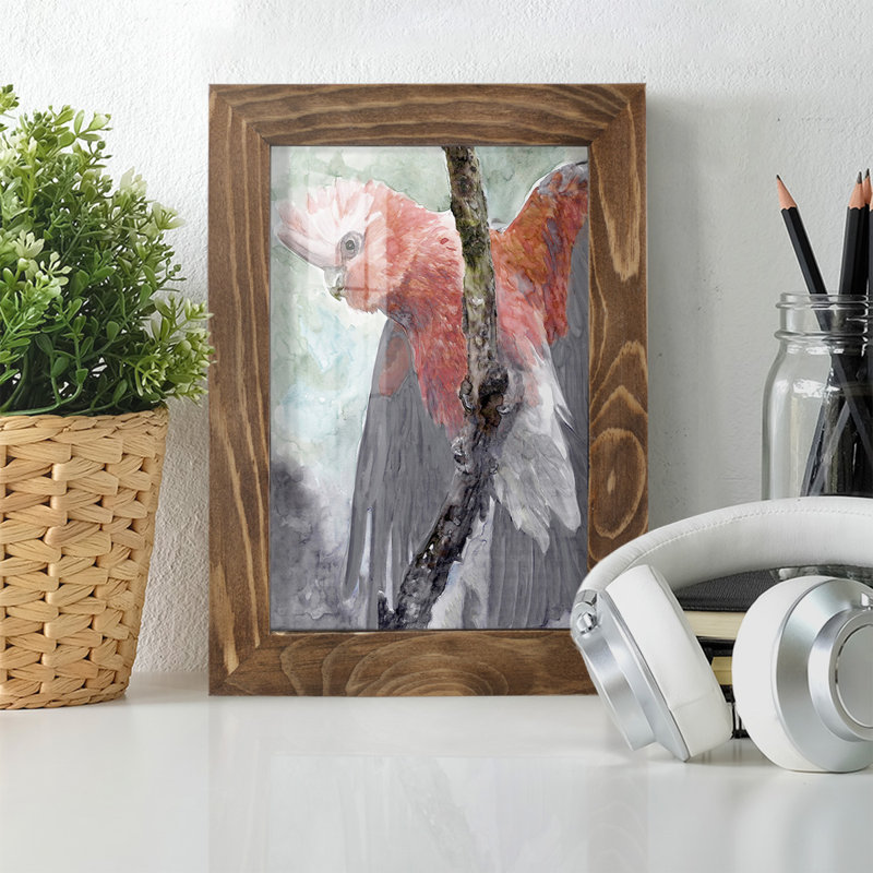 Tropic Parrot II encadré sur papier, H 6 po x l 4 po x P 1 po, Cadre noyer