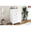 Armoire décorative-100883214