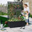 Boîte à fleurs en métal avec treillis, lit de jardin surélevé 71 po x 47 po x 16 po pour plantes grimpantes, légumes, écran d'intimité pour patio