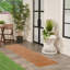 Nourison Essentials Rust Area Rug-722350589