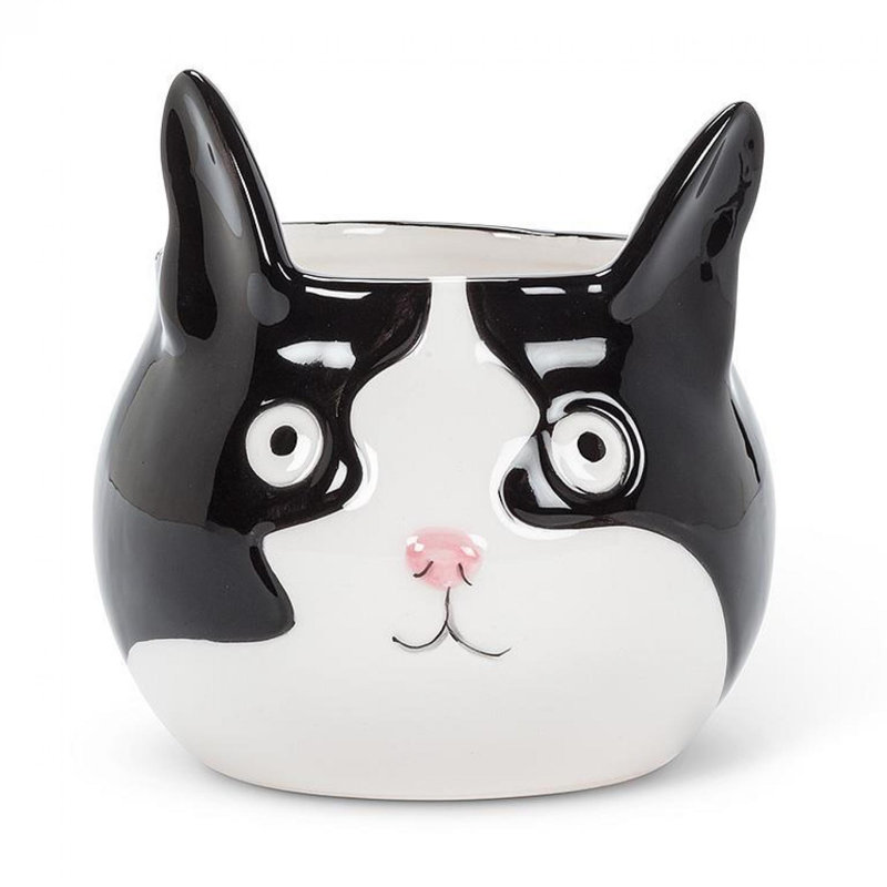 Pot à fleurs tête de chat, H 4 po x l 3 po x P 4 po