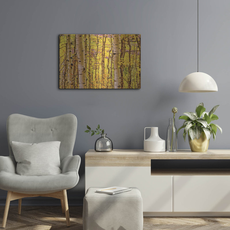 «Aspen Autumn» par Mark A Paulda, H 16 po x l 24 po