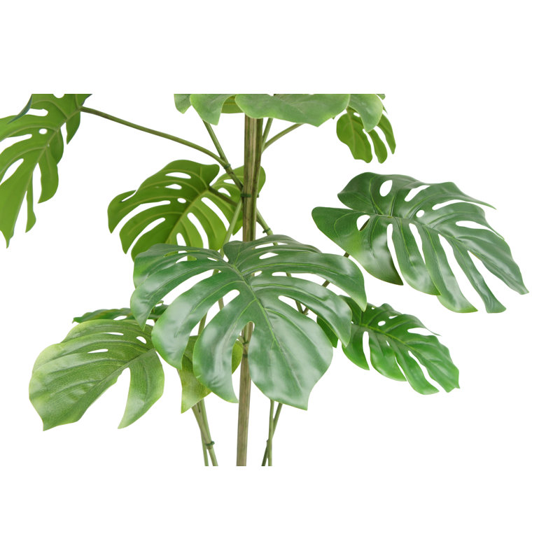 ARBRE 5 pieds MONSTERA GROWER