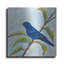 Art mural luxueux «Indigo Bunting» par Jeanette Vertentes, 36 po x 36 po-1773265757
