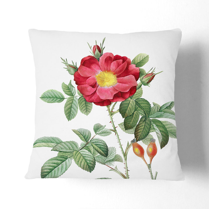 Square Cushion, 55cm H x 55cm W x 20cm D, Black