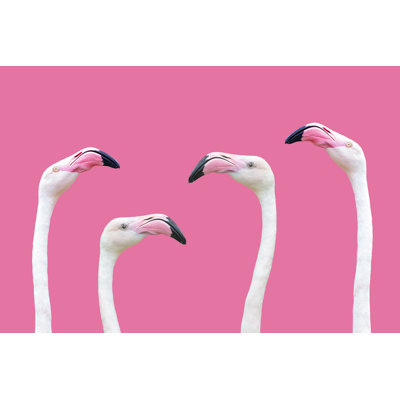 «Flamingo Head» par Denboma - photographie sur toile tendue