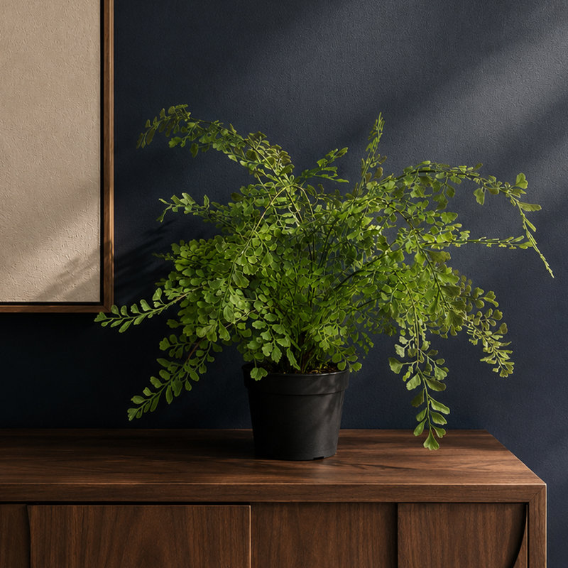 35cm Faux Fern Plant in Pot Liner