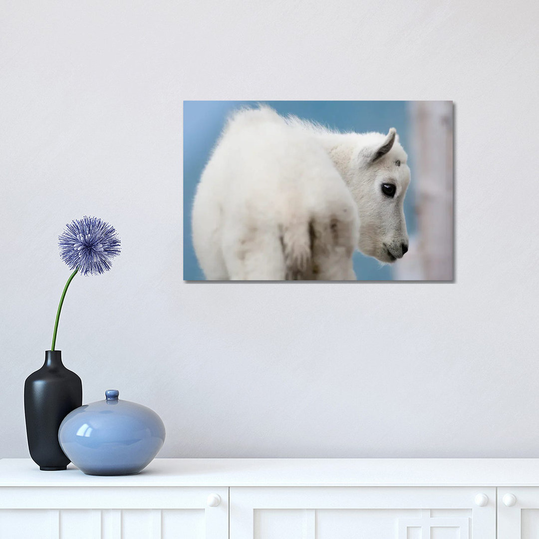 Mountain Goat by Mateusz Piesiak - Wrapped Canvas Print