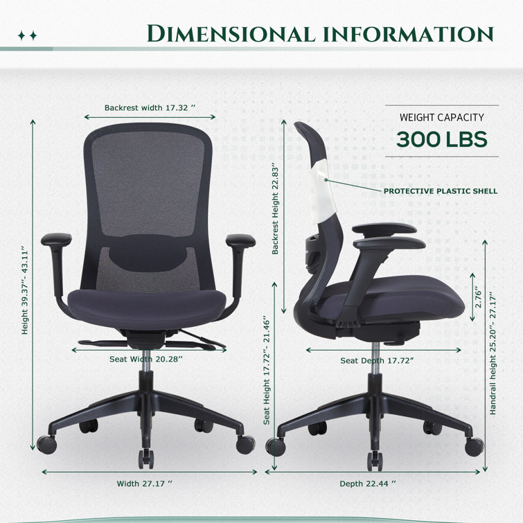 https://assets.wfcdn.com/im/56692847/resize-h755-w755%5Ecompr-r85/2483/248388344/Ergonomic+Mesh+Swivel+Desk+Chair+with+Adjustable+Seat+Depth+and+Lumbar+Support.jpg