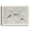 Nature's Confetti II - Reproduction d'art sur papier encadrée-2129377672-2129377674