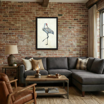 Animals Sandhill Crane Standing On One Leg