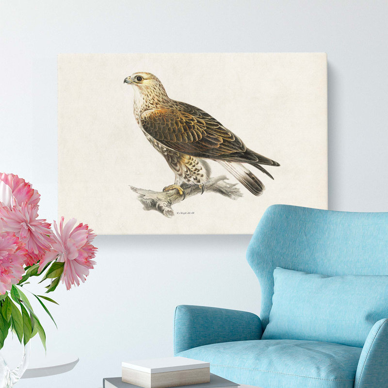Rough-Legged Hawk by Von Wright - Wrapped Canvas, 40cm H x 60cm W x 3cm D