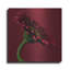 «Lark Manor ™« Red Gerbera on Red 05 »par Tom Quartermaine, art mural en métal-1204307852