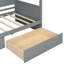 Canopy Day Bed With 2 Drawers-433764122