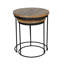 Apolla 2 Piece Nest of Tables