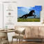 Brampt superbe cheval frison-107863169
