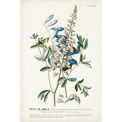 Alluring Botanical VII - Painting