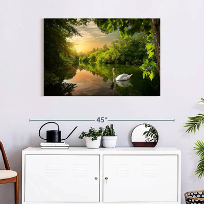 Harnek cygne serein dans la jungle