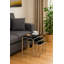 Irwin Glass Top Nesting Tables-29330272