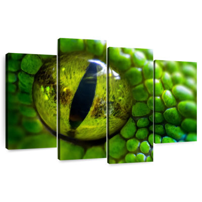 Brampt Green Python Eye
