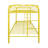 Kimbolton Kids-92503971