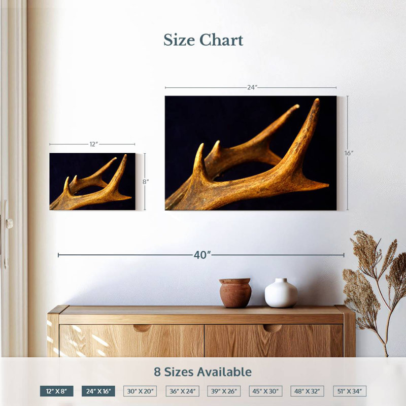 Bois de cerf Brampt, 16" H x 24" W