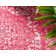 Maxence Oriental Indoor Rug