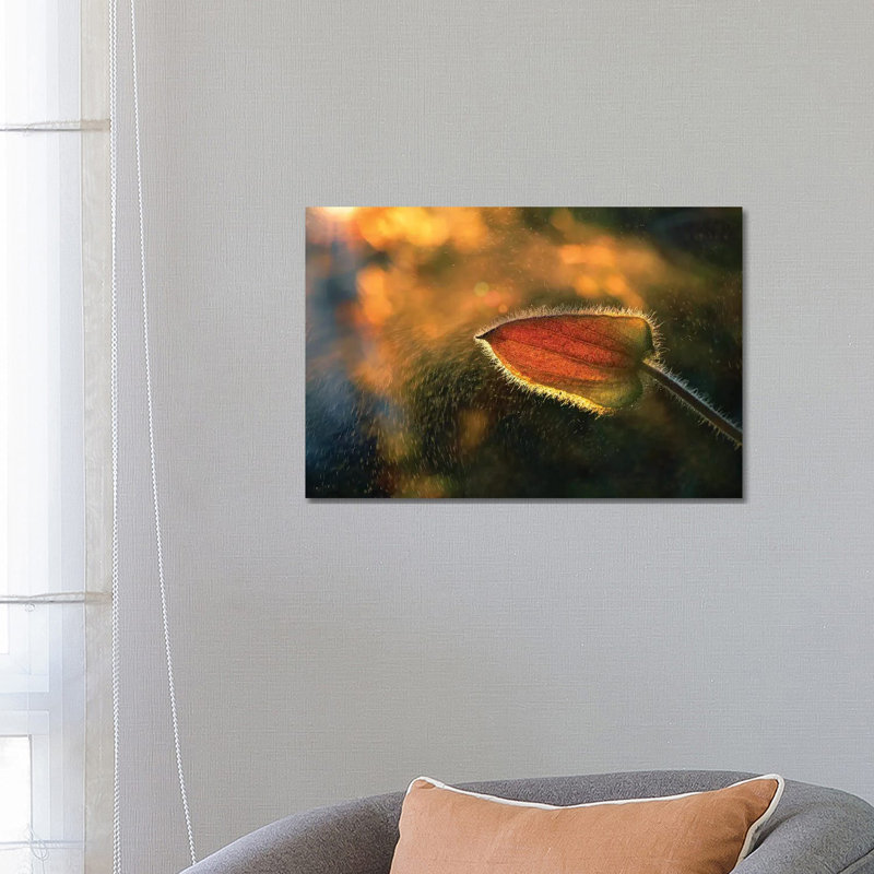Sunshine Through The Rain by Tomer Yaffe - Wrapped Canvas Print, 66.04 cm H x 45.72 cm W x 3.175 cm D