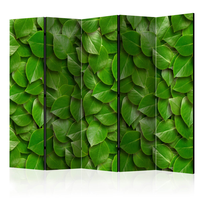 Mayweather 172cm H Solid Wood Folding Room Divider, Green, 5