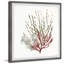 Sea Vegetables - Single Picture Frame Print-2091051850