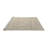 Oriental Indoor Rug-469715261