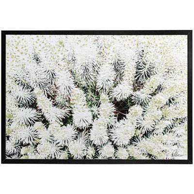 Single Picture Frame Print