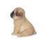  Brown pug Decorative Puppy Figurine for Home & Garden Décor, Handpainted Polyresin Dog Statue, Realistic Design | Gift for Dog Lovers | Weather-Resistant Indoor/Outdoor Decor