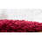 Indoor Rug-24844842