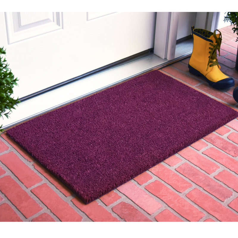 Tapis d'extérieur antidérapant Kasper, L 24 po x L 36 po, Mauve