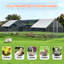 Poule Diethilde