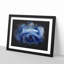 Blue Rose - Picture Frame Painting Print-56855057-56855058