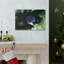No Frame Print on Canvas-822111602